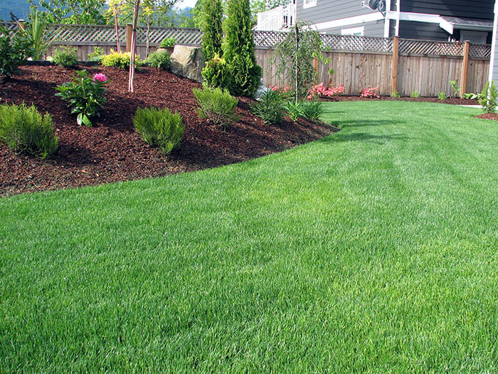 Lawn Maintenance Palm Bay