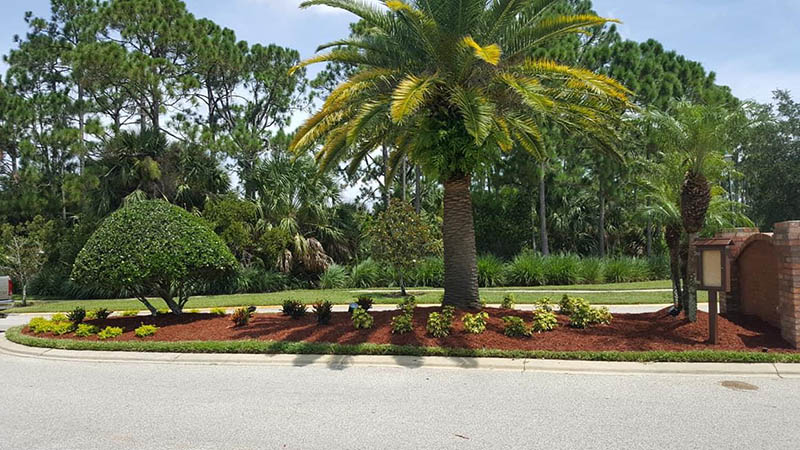Lawn and Landscape Maintenance Palm Bay