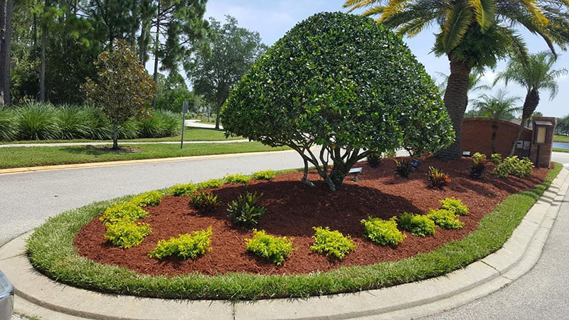 Lawn and Landscape Maintenance Palm Bay