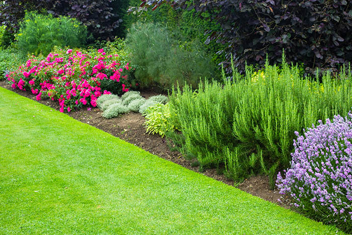 Lawn and Landscape Maintenance Palm Bay