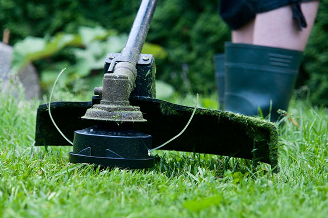 Lawn Maintenance Palm Bay